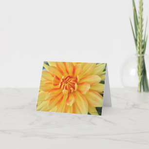 Gult Dahlia, stäng Tack Kort