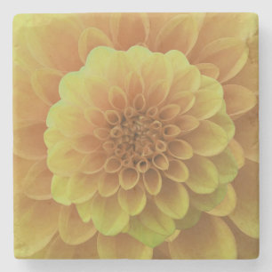 Gult Dahlia Stenunderlägg