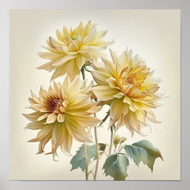 Gult Dahlias Flower Art Print Poster