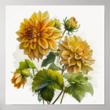 Gult Dahlias Flower Art Print Poster