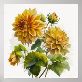 Gult Dahlias Flower Art Print Poster