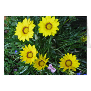 Gult Daisy Card OBS Kort
