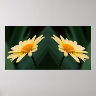 Gult Daisy Flower Spegel Abstrakt Poster