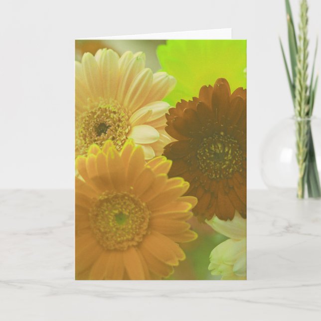 Gult Daisy Flowers Photo Note eller Greeting Card Kort (Framsida)