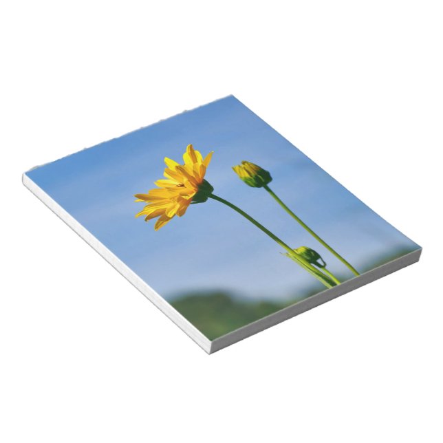 Gult Daisy Helenium Anteckningsblock (Vinklad)