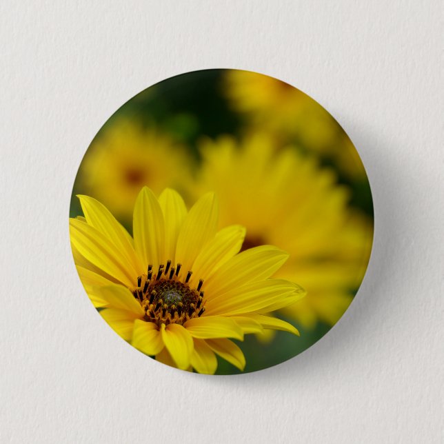 Gult Daisy Helenium Badge Knapp (Framsida)