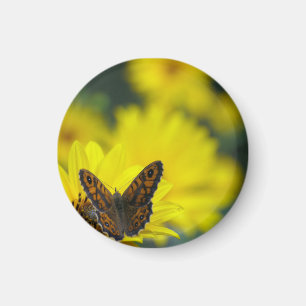 Gult Daisy Helenium Magnet