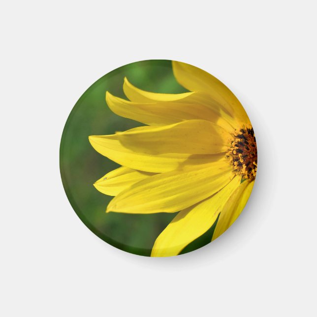 Gult Daisy Helenium Magnet (Framsidan)