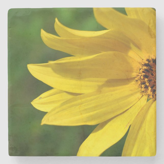 Gult Daisy Helenium Stenunderlägg (Framsidan)
