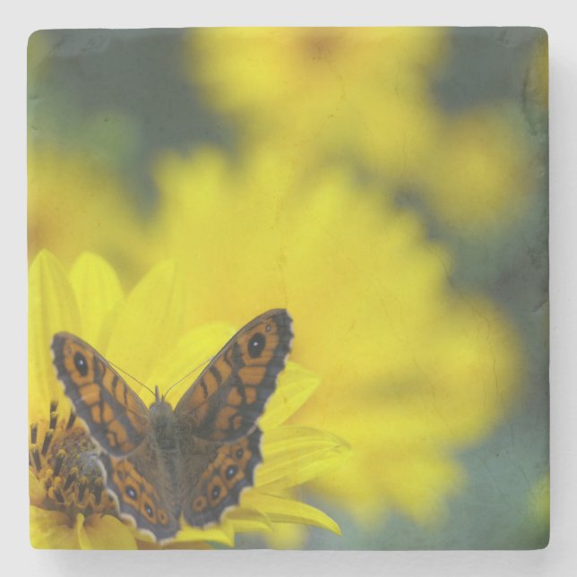 Gult Daisy Helenium Stenunderlägg (Framsidan)