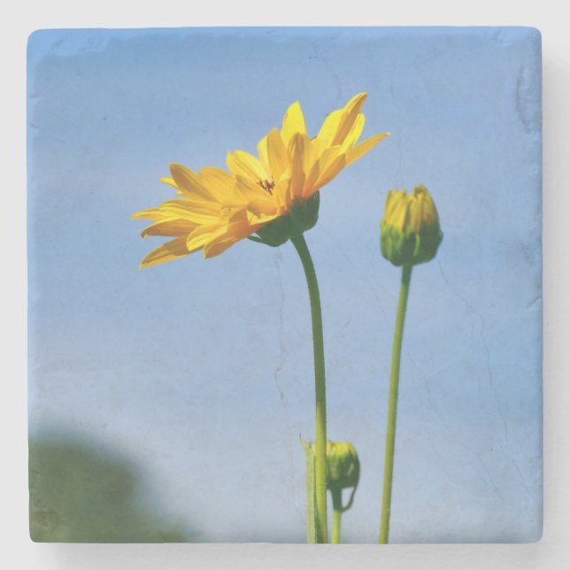 Gult Daisy Helenium Stenunderlägg (Framsidan)