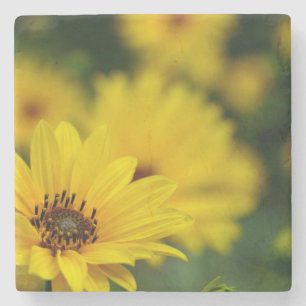 Gult Daisy Helenium Stenunderlägg