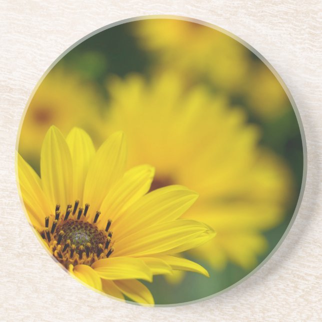Gult Daisy Helenium Underlägg (Framsidan)