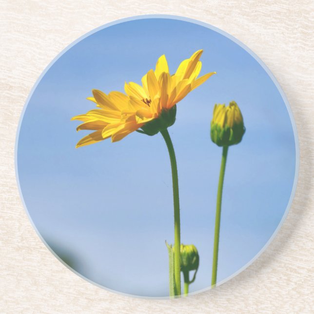 Gult Daisy Helenium Underlägg (Framsidan)