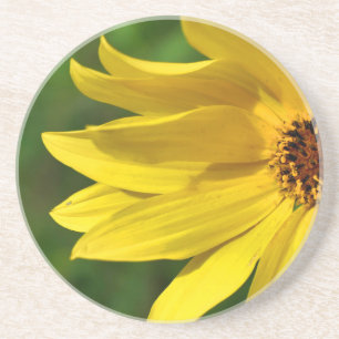 Gult Daisy Helenium Underlägg