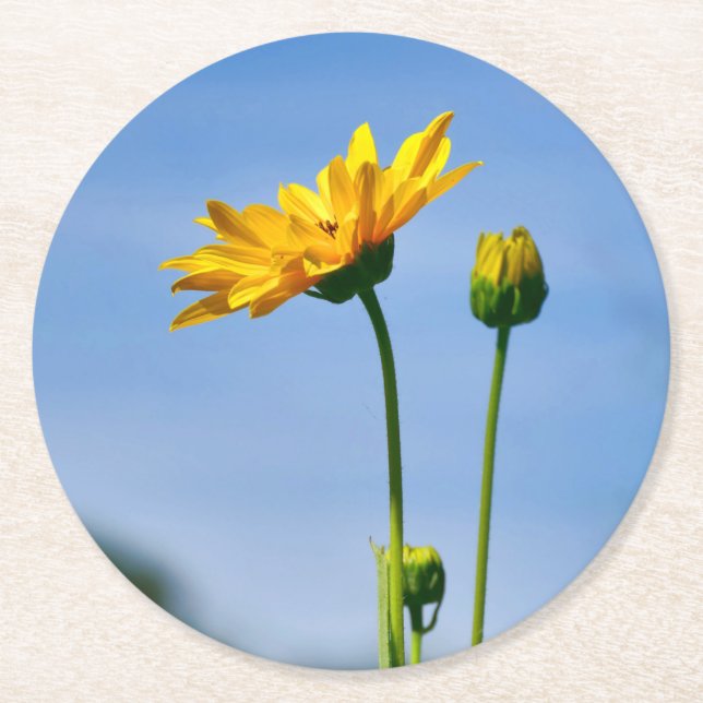 Gult Daisy Helenium Underlägg Papper Rund (Framsidan)