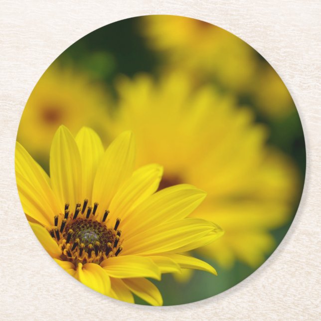 Gult Daisy Helenium Underlägg Papper Rund (Framsidan)