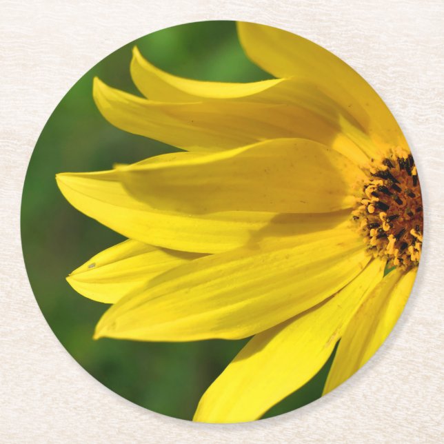 Gult Daisy Helenium Underlägg Papper Rund (Framsidan)