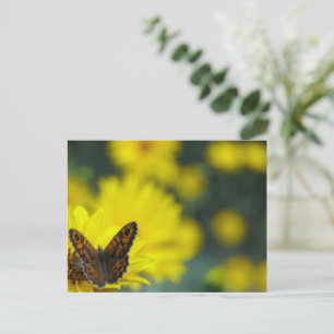 Gult Daisy Helenium Vykort