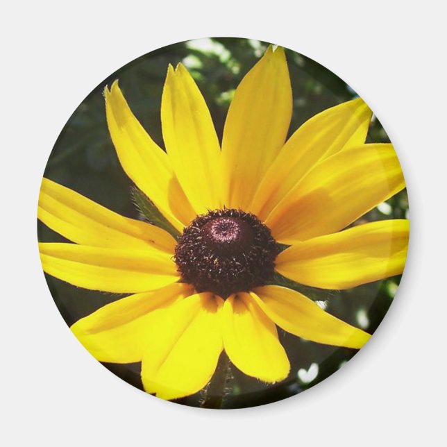 Gult Daisy Magnet (Framsidan)