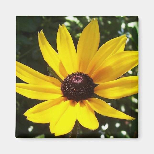 Gult Daisy Magnet (Framsidan)