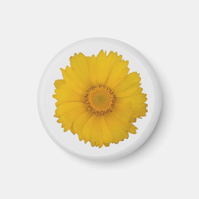 Gult Daisy Magnet (Framsidan)