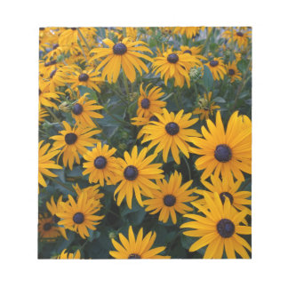 Gult daisy trädgårdsblommor. anteckningsblock