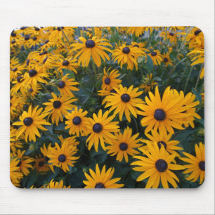 Gult daisy trädgårdsblommor. musmatta
