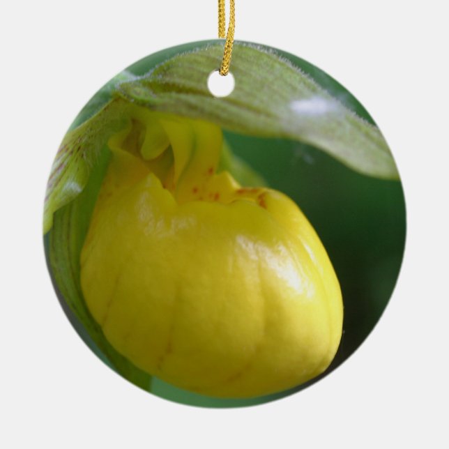 Gult Dam-blanktsblomma Ornament (Framsidan)