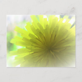 Gult Dandelion Aster i Sunshine Cheerful Vykort