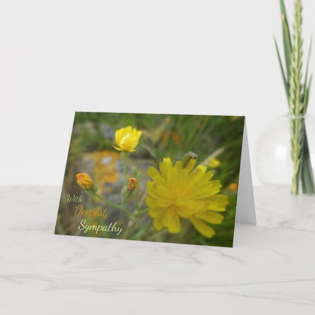 Gult Dandelion Flowers Serene Sympathy Card Kort (Framsida)