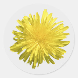 Gult Dandelion Stickers Runt Klistermärke