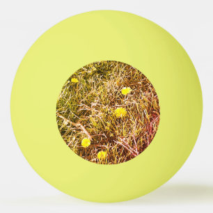 Gult Dandelions Dart Board Pingisboll
