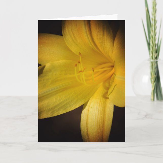 Gult Day Lily Flower Highlight Note Card Kort (Framsida)