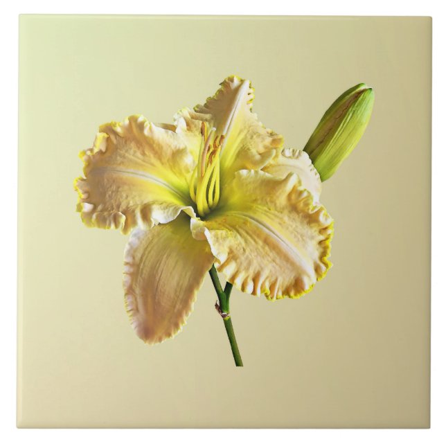 Gult Day Lily Kakelplatta (Framsidan)
