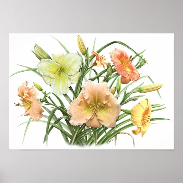 Gult Daylilies Original Art Print Poster (Framsidan)
