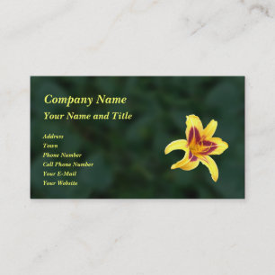 Gult Daylily Flower with Red, Hemerocallis: Visitkort