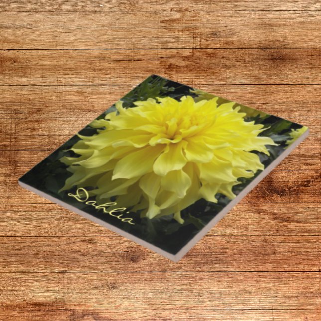 Gult Dinner Plate Dahlia Blommigt Kakelplatta (In Situ)