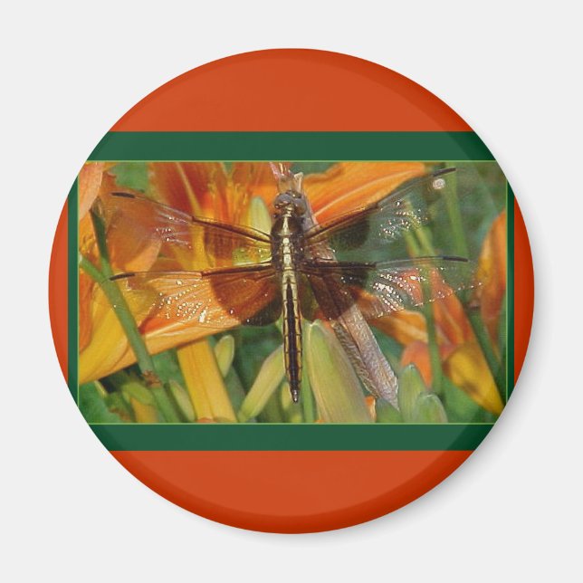 Gult Dragonfly Magnet (Framsidan)