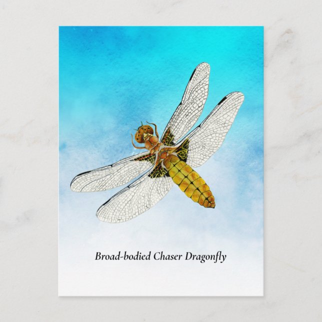 Gult Dragonfly Watercolor Painting Vykort (Framsida)