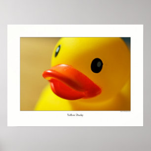 Gult Ducky Poster