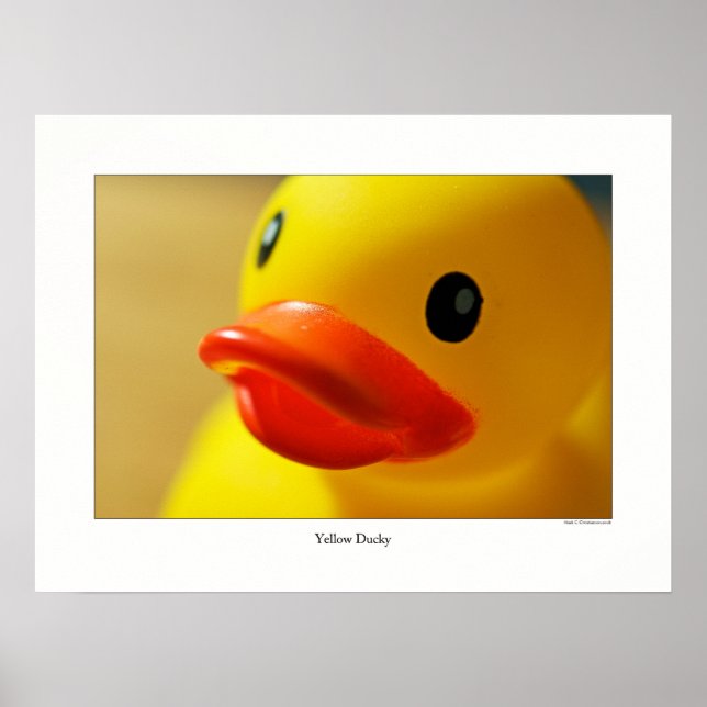 Gult Ducky Poster (Framsidan)
