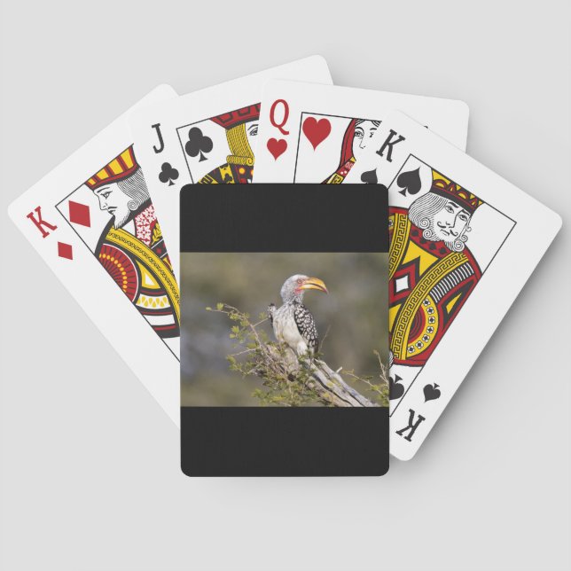 Gult fakturerad hornbill casinokort (Baksidan)