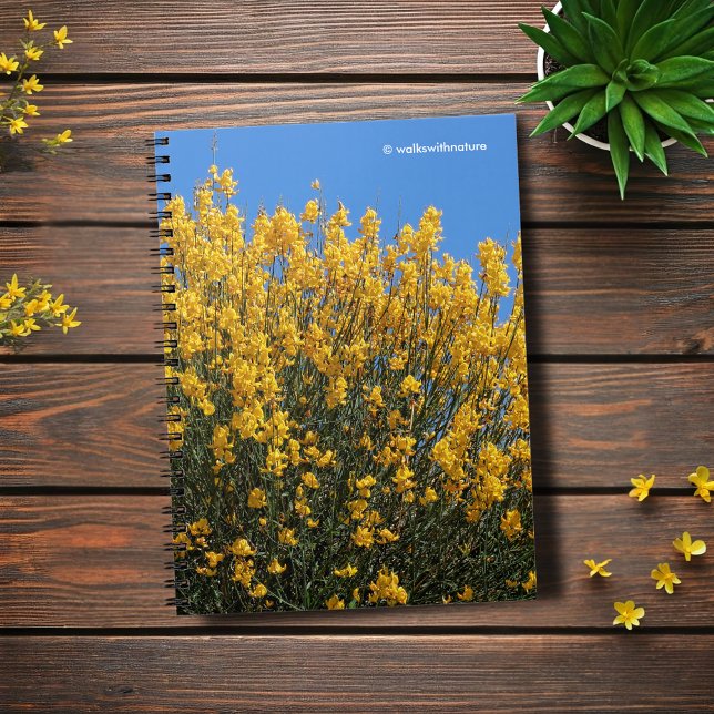 Gult False Indigo/Vild Indigo/Horsefluoweed Anteckningsbok (Yellow False Indigo Journal Cover Photo)