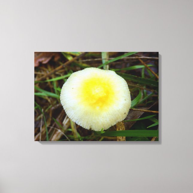 Gult Fält Cap Mushroom Kanvastryck (Framsida)