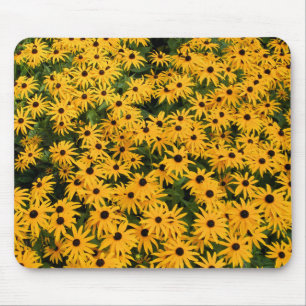Gult Fält i Daisy - Daisy Mousepad Musmatta