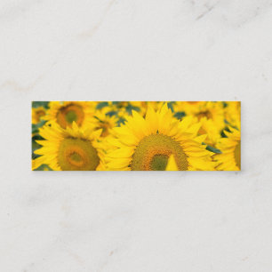 Gult Fält i solblommor Mini Visitkort