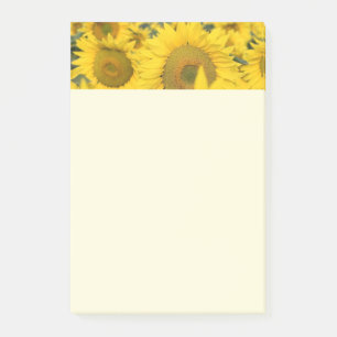 Gult Fält i solblommor Post-it Block