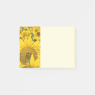 Gult Fält i solblommor Post-it Block