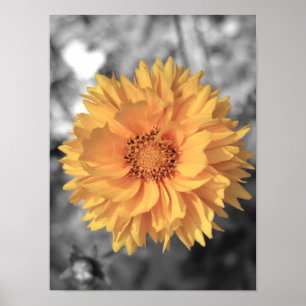 Gult - färgtonad blomma poster